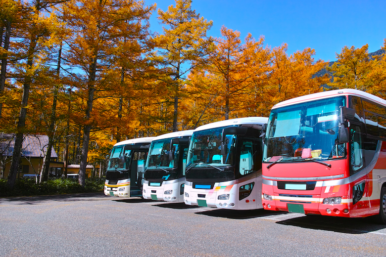 関東エリア出発11月におすすめの日帰りバス旅行プランまとめ