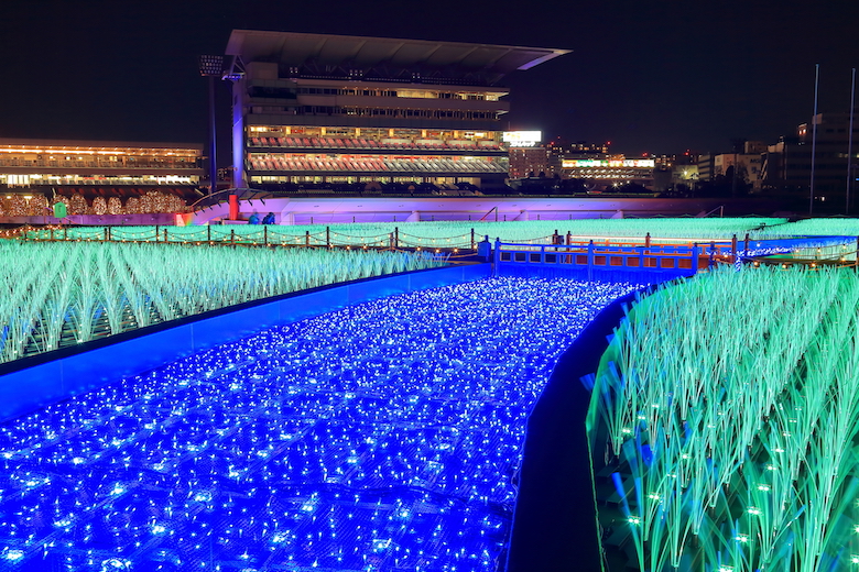 TOKYO MEGA ILLUMINATION