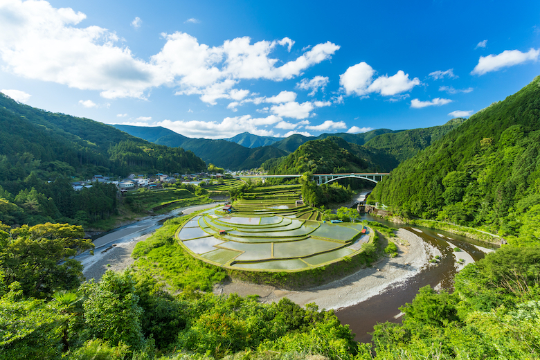 あらぎ島