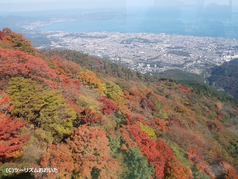 鶴見岳の紅葉