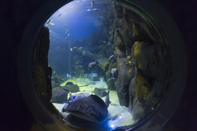 宮島水族館