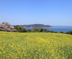 福岡・能古島