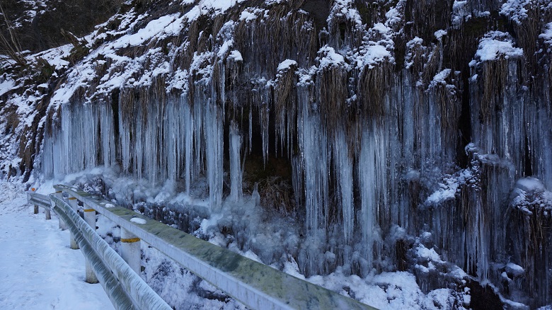 梨木の氷柱