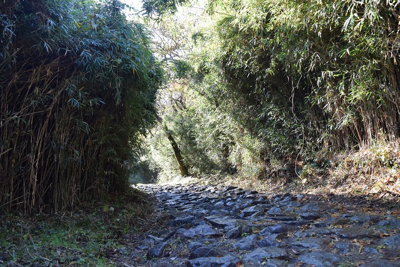 箱根旧街道