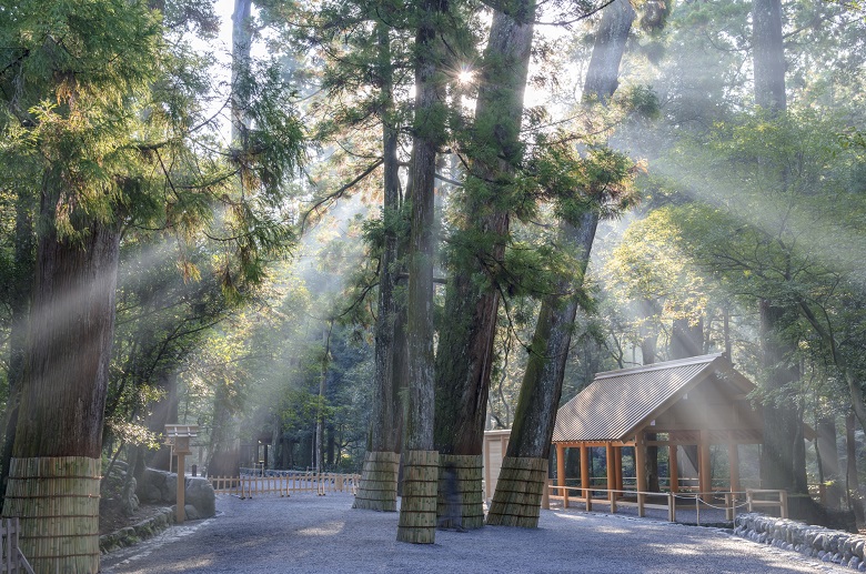 伊勢神宮の森