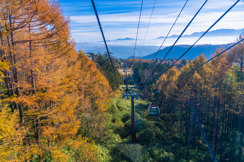 御岳山の紅葉