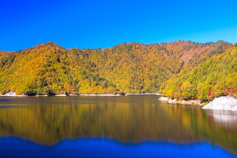 奈良俣ダムの紅葉