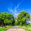 東京団体・グループ旅行で人気の東京タワー見どころは？