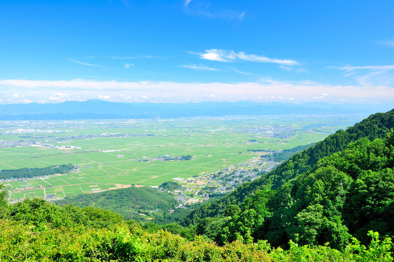 弥彦山山頂から眺める越後平野