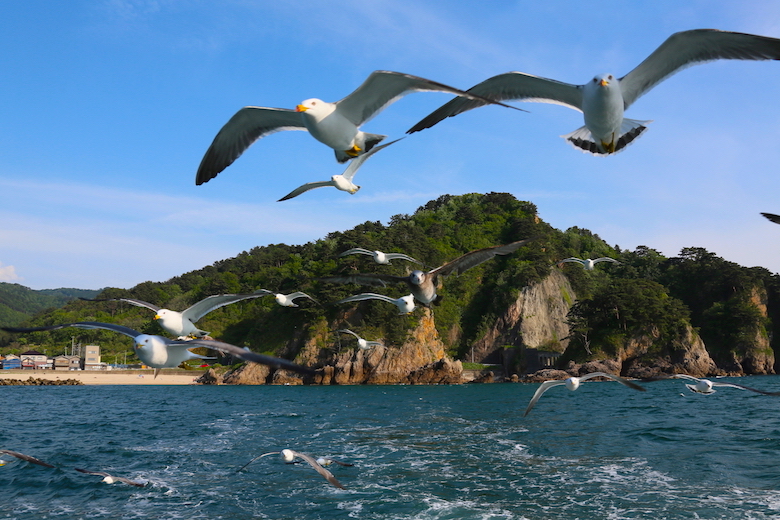 笹川流れ遊覧船