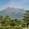 九州団体・グループ旅行で人気の鹿児島県・仙巌園見どころは？