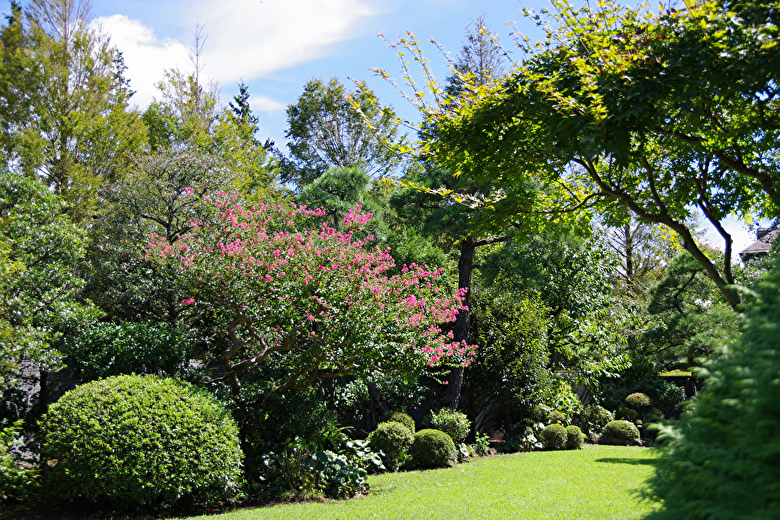 山本亭庭園