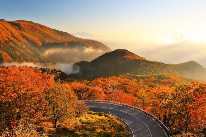 いろは坂の紅葉