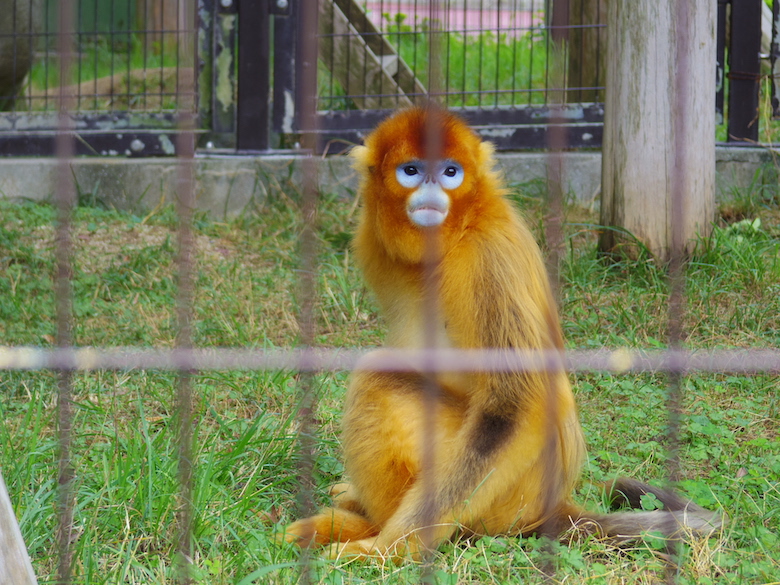 熊本市動植物園