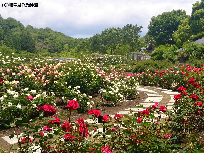 花フェスタ記念公園