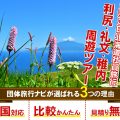 礼文島の高山植物と利尻島