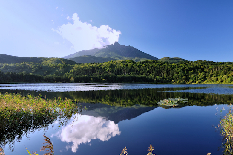 オタトマリ沼