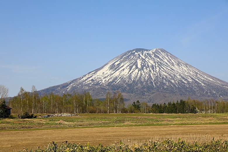 榎本と土方を引き合わせた偶然