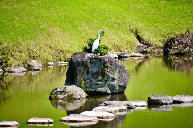 水前寺成趣園おすすめポイント