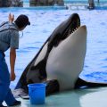 名古屋港水族館