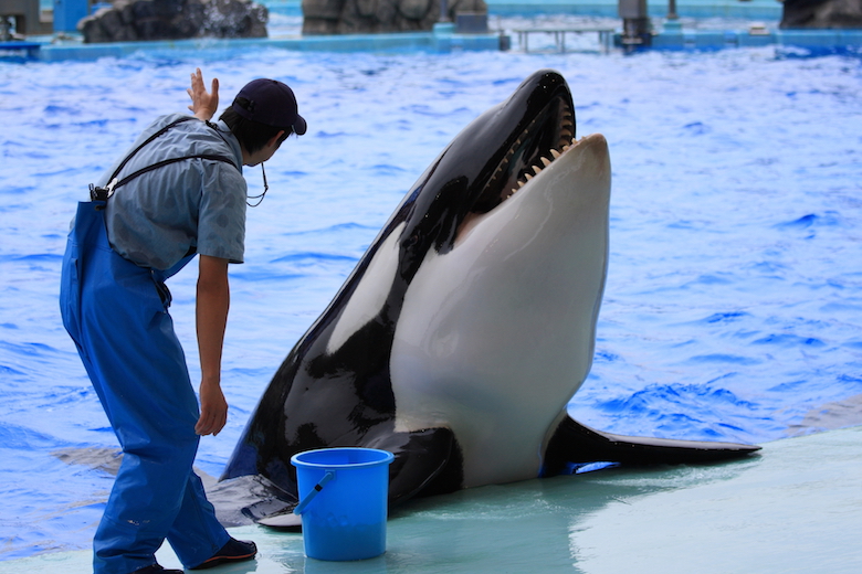 名古屋港水族館