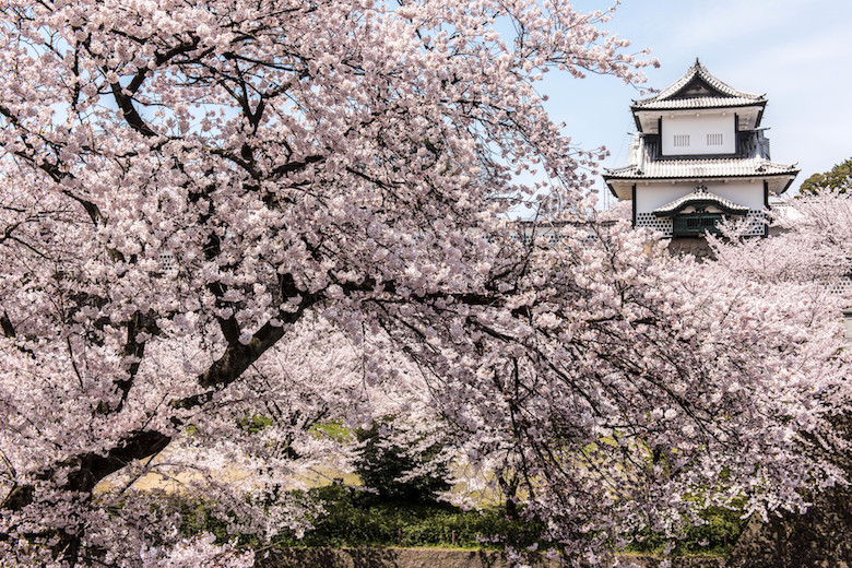 金沢城公園