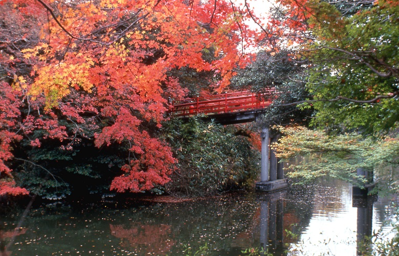 古城公園・紅葉