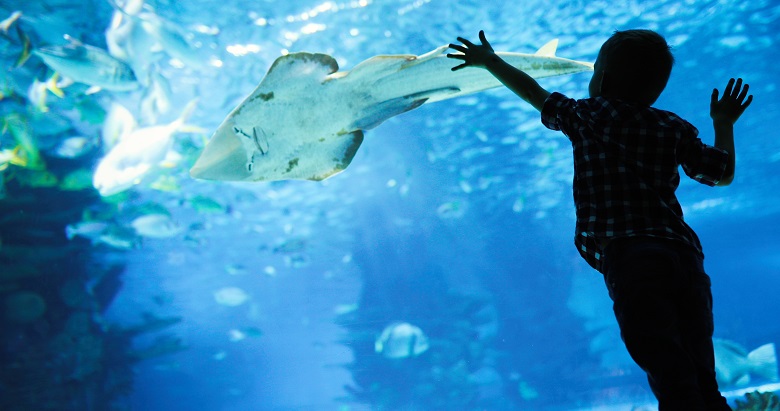 水族館は子連れ旅行におすすめ