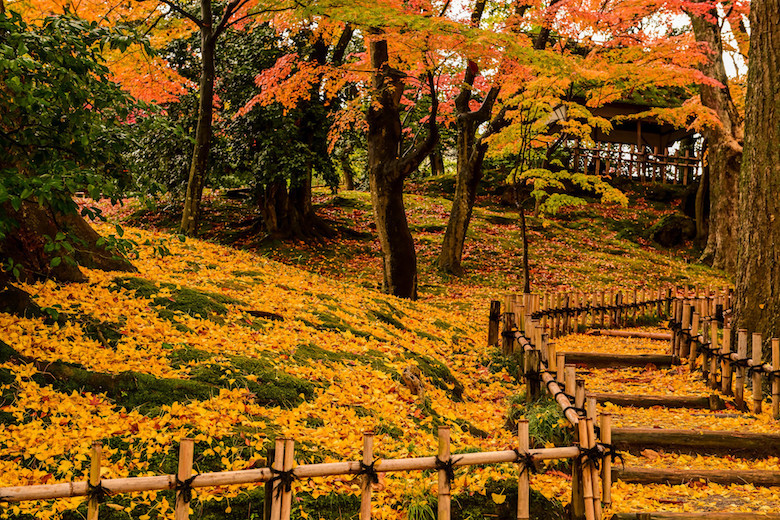 秋の兼六園