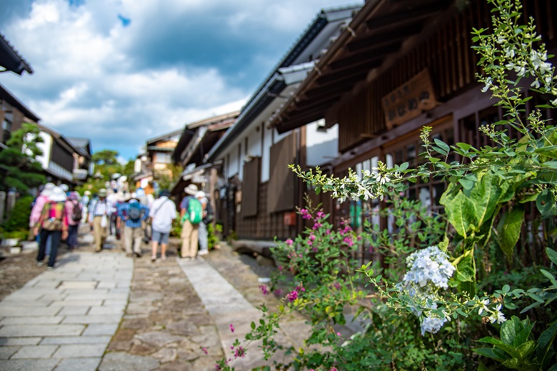 ハイキングやウォーキング旅行もおすすめ