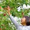 行って良かった！1泊2日社員旅行プラン【大阪発】長野の自然を満喫する家族同伴バスツアー