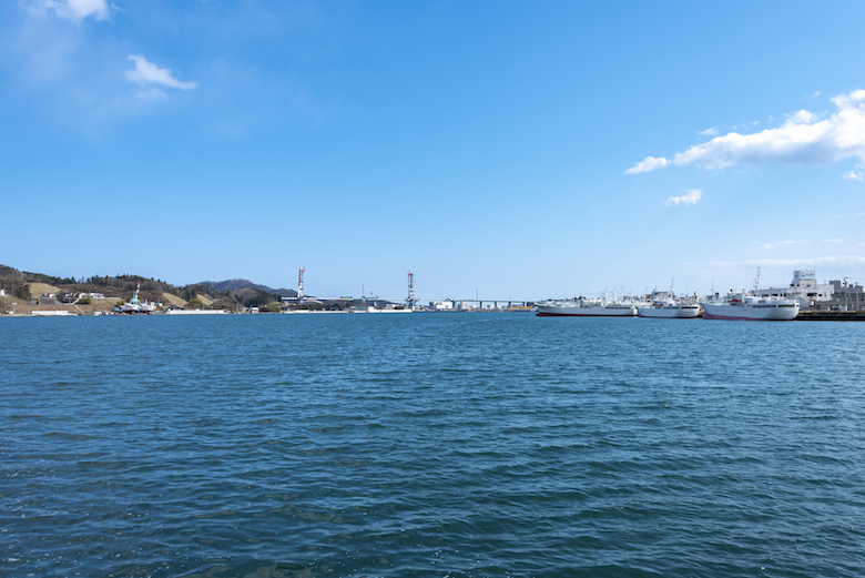 内湾地区から見た気仙沼湾