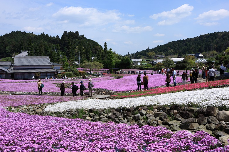 花のじゅうたん・永沢寺