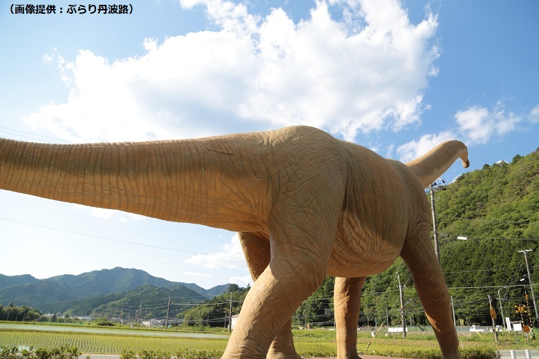 丹波竜の里公園