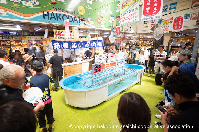 函館朝市活いか釣堀