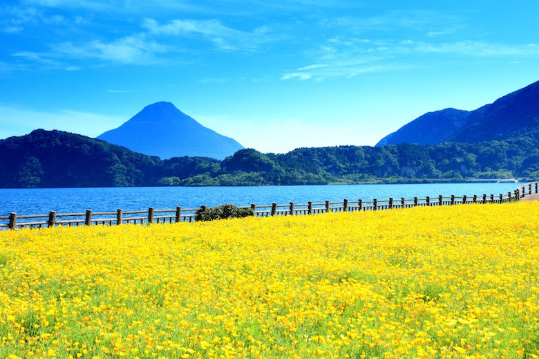 春の池田湖