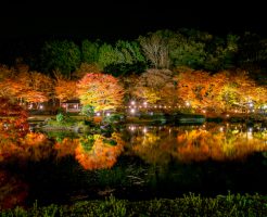 修善寺虹の郷