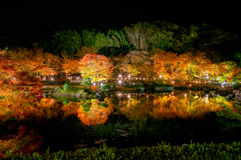 【都内発】静岡・神奈川周遊バスツアー