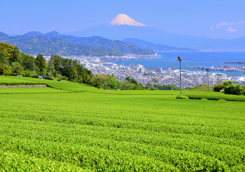 日本平