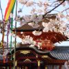 行って良かった！4泊5日社員旅行プラン【新千歳発】春の京都奈良周遊ツアー