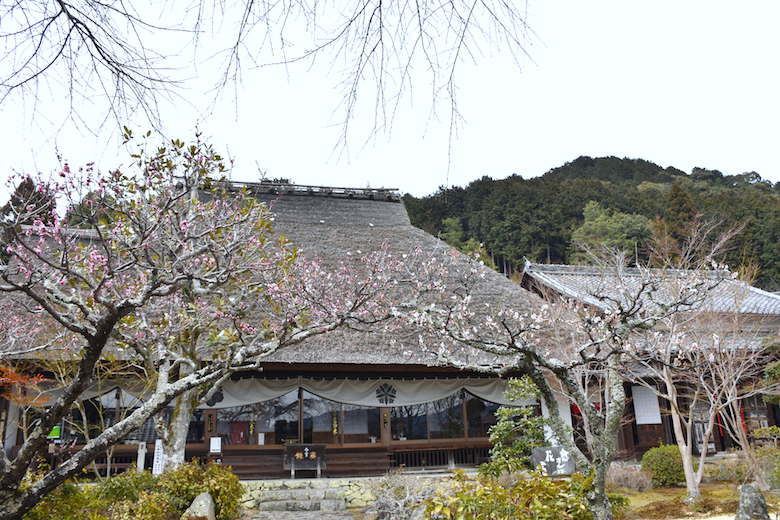 禅定寺