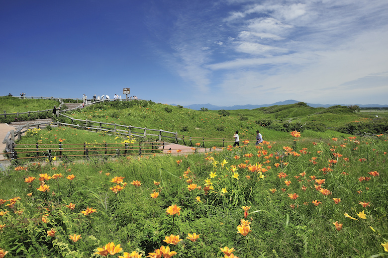 小清水原生花園