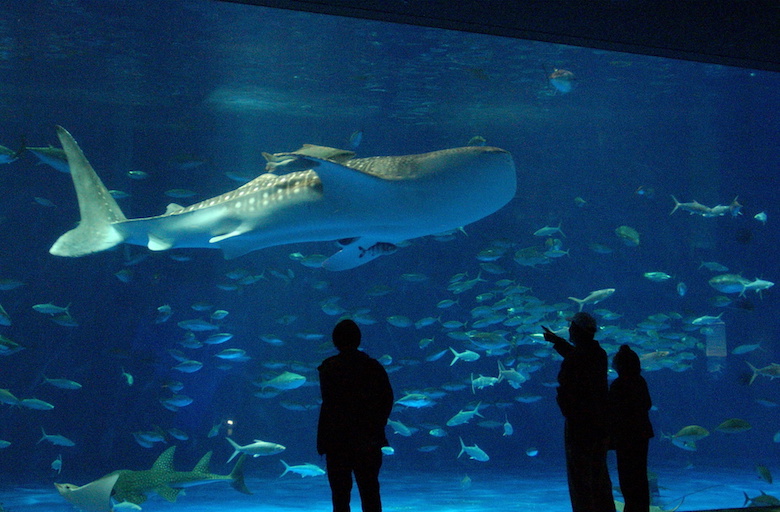 かごしま水族館