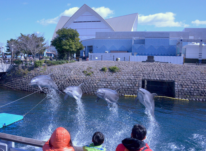 かごしま水族館