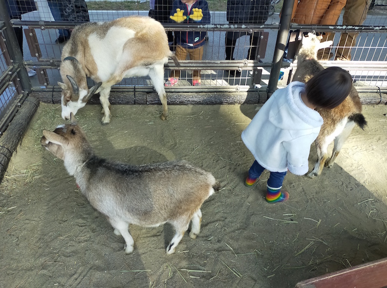 八木山動物園