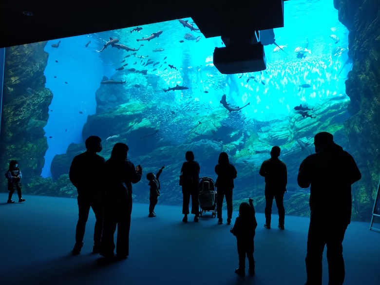 うみの杜水族館