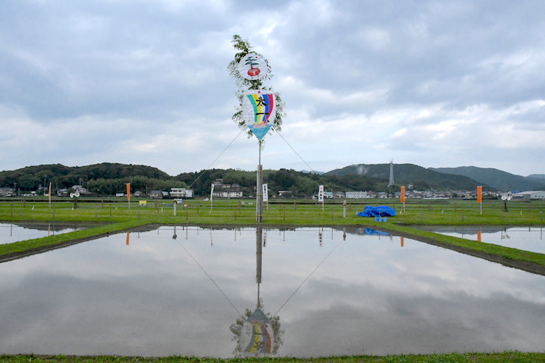 伊雑宮御田植祭の朝