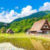 行って良かった！1泊2日社員旅行プラン【長岡発】白川郷と飛騨の古い町並み周遊バスツアー