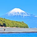 三保の松原から見た富士山