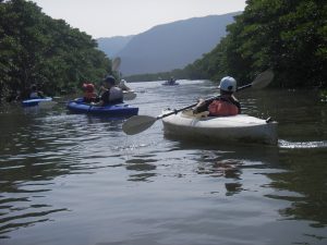 西表島でカヤック